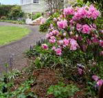 Anabels of Scottsdale - Australia Accommodation