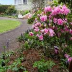 Anabels Of Scottsdale - Australia Accommodation 0