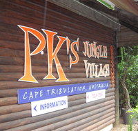PKs Jungle Village - Hostel - Australia Accommodation