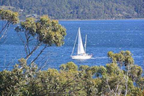 The Tree House - Australia Accommodation 3