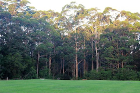 Tinglewood Cabins - Australia Accommodation 0