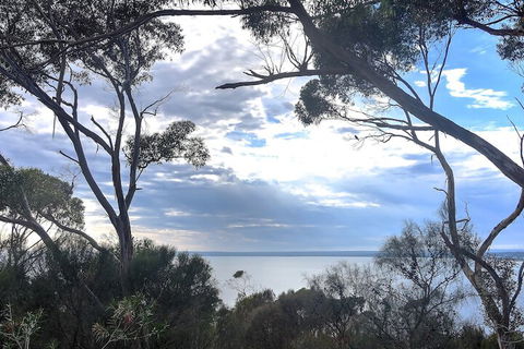 Wanderers Rest Of Kangaroo Island - Australia Accommodation 7