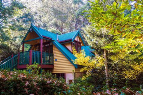 Arnica Views - Australia Accommodation 0