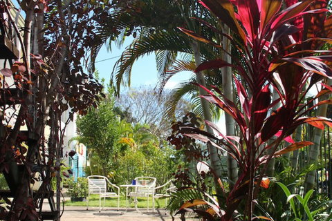 Asylum Cairns Hostel - Australia Accommodation 3