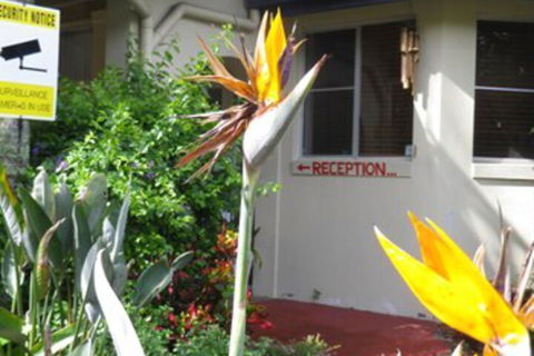 Ocean Shores Motel - Australia Accommodation 2
