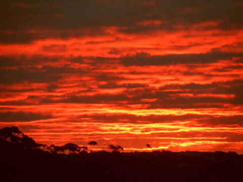 Tennessee Hill Chalets - Australia Accommodation 0