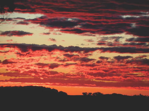 Tennessee Hill Chalets - Australia Accommodation 1