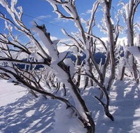 Ripparoo Ski Lodge - Australia Accommodation
