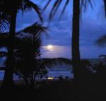 Sejala Beach Huts - Australia Accommodation