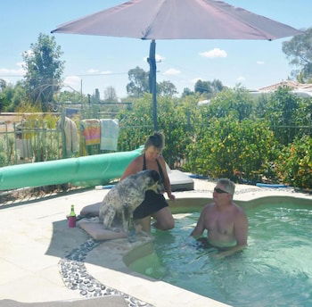 Must Love Dogs B&b - Australia Accommodation 1