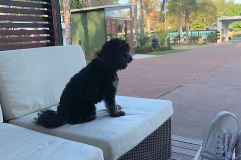 Mulwala Resort - Australia Accommodation 5