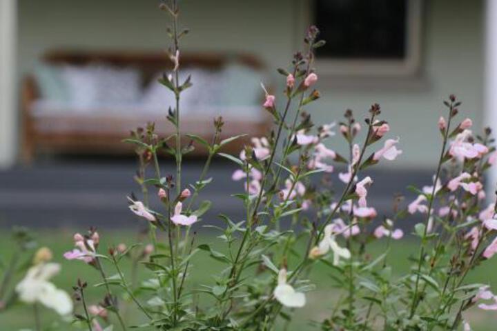 Allynbrook ACT Australia Accommodation