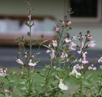 Serendipity on Allyn - Australia Accommodation