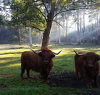 Dingley Dell - Australia Accommodation