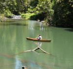 Figtree Getaway - Australia Accommodation