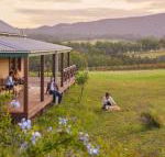 Hanging Tree Wines - Australia Accommodation