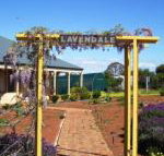 Lavendale Farmstay  Cottages York - Australia Accommodation