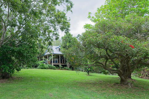Jacaranda Cottages - Australia Accommodation 1