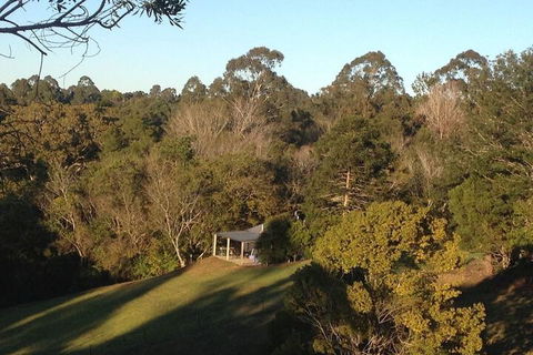 Jacaranda Cottages - Australia Accommodation 3