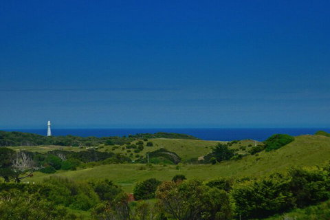 Island Breeze Motel - Australia Accommodation 2