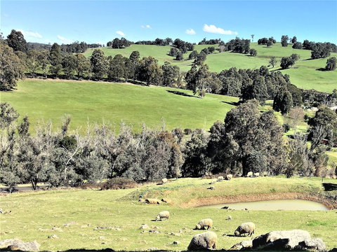 Balingup Highview Chalets - Australia Accommodation 0