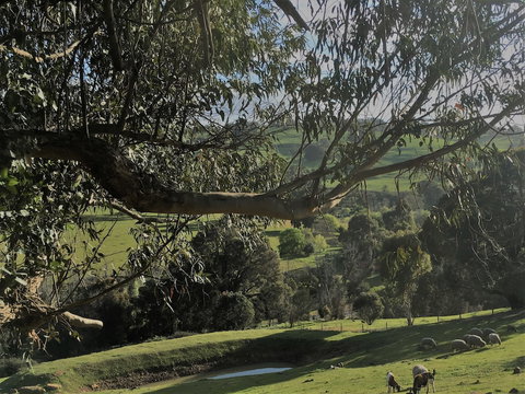 Balingup Highview Chalets - Australia Accommodation 1