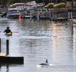 Sunsea Waterfront South Yunderup - Australia Accommodation