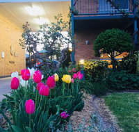 The Vines Motel and Cottages - Australia Accommodation