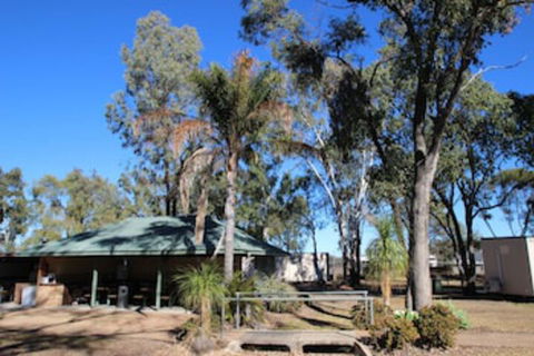 AAOK Jandowae Accommodation Park - Australia Accommodation 0