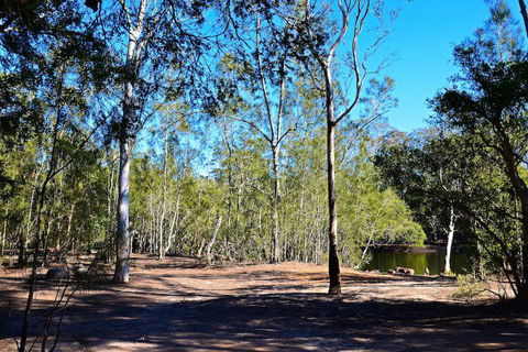 Jervis Bay Cabins & Hidden Creek Campsite - Australia Accommodation 1