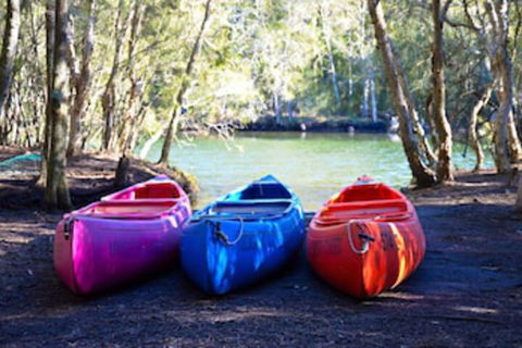 Jervis Bay Cabins & Hidden Creek Campsite - Australia Accommodation 0