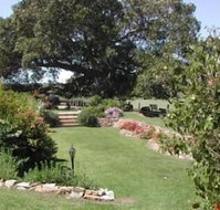 Maddies of Bolwarra - Australia Accommodation