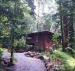 Black Palm Cape Tribulation - Australia Accommodation