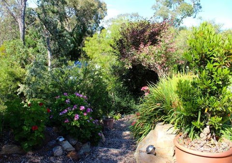 Astley Cottage - Australia Accommodation 4