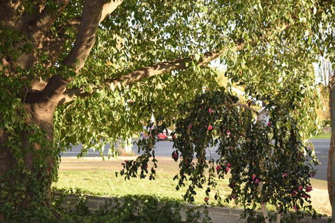 Alkira Motel - Australia Accommodation 4