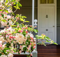 Apple Blossom Cottage - Australia Accommodation