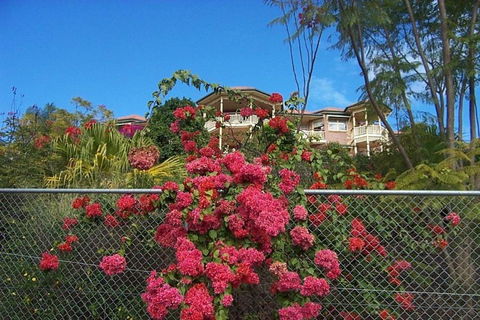 Tranquill Garden Hideaway - Australia Accommodation 6