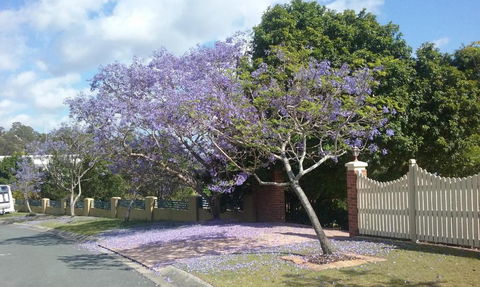 Tranquill Garden Hideaway - Australia Accommodation 2