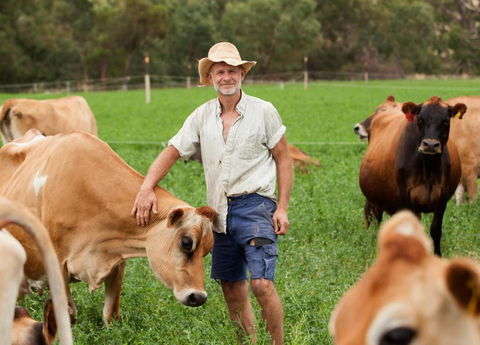 Dairymans Cottage - Australia Accommodation 3