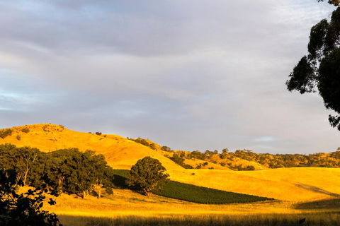Dairymans Cottage - Australia Accommodation 6