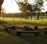 Wallaby Cottage cute Accom in bushland setting - Australia Accommodation
