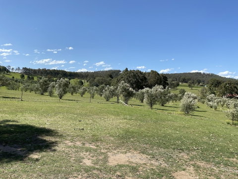 Hunter Homestead - Australia Accommodation 0