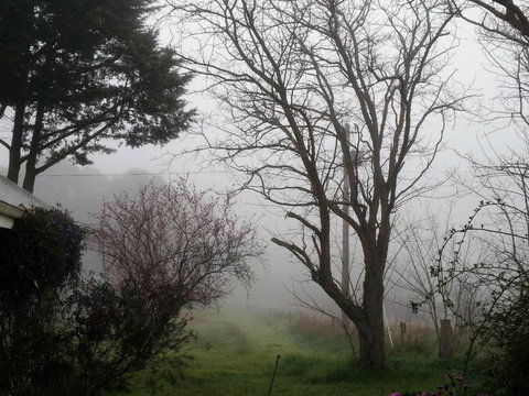 Brookvale House Balingup - Australia Accommodation 3