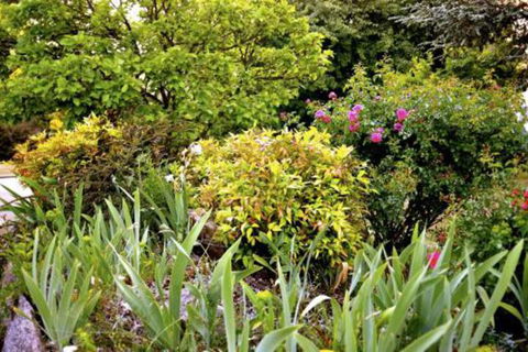 The Glasshouse Boutique Accommodation - Australia Accommodation 6