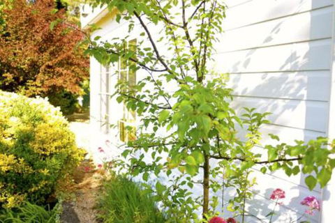 The Glasshouse Boutique Accommodation - Australia Accommodation 4