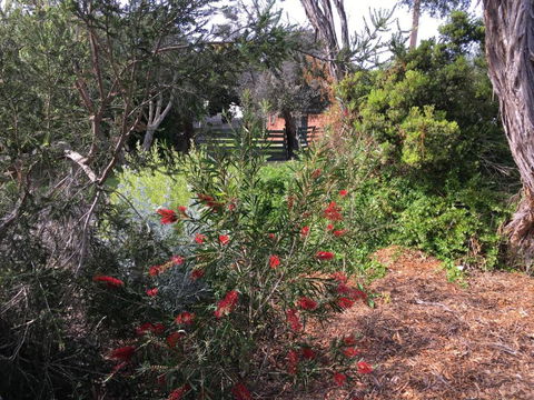 Andrews On Topaz - Australia Accommodation 6