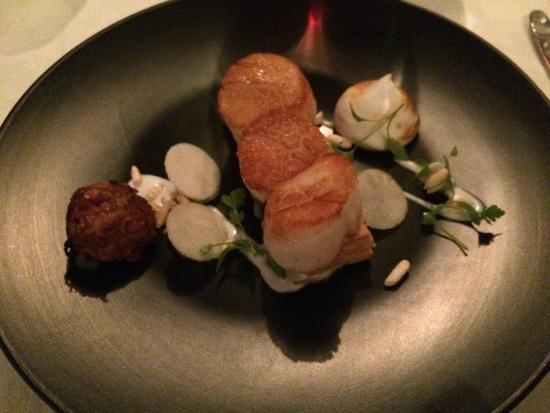 Clubs Noosa Heads QLD Australia Accommodation