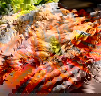 Table 30 - Australia Accommodation