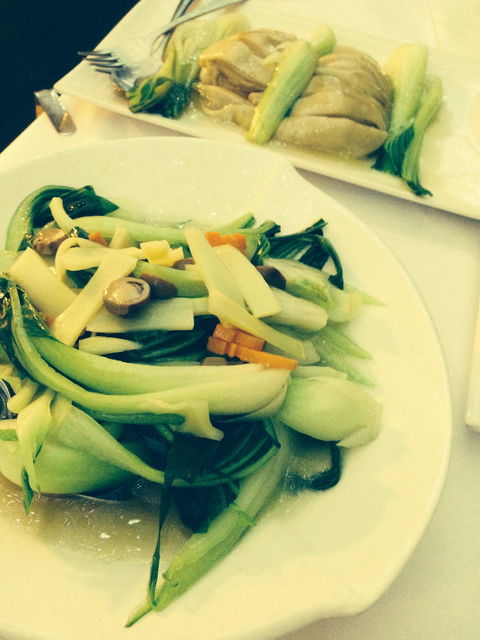 Xanadu On Collins - Australia Accommodation 1