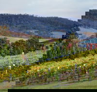 De Bortoli Winery  Restaurant - Australia Accommodation